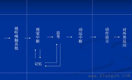 人在作业活动中的信息加工处理过程