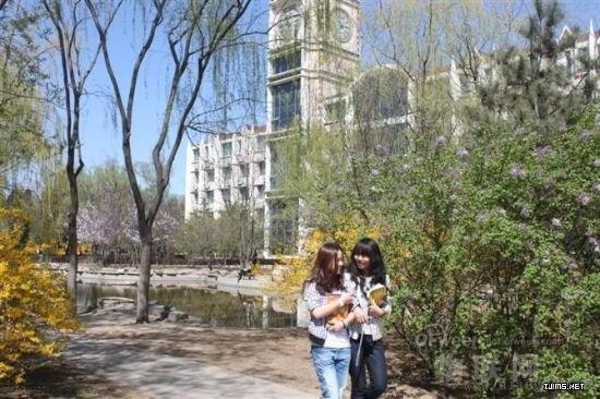 物联网专业就业怎么样