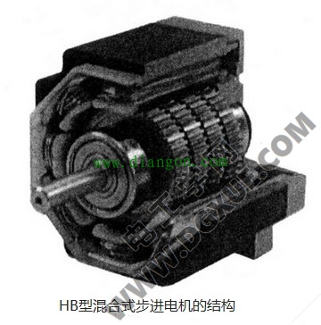 HB型混合式步进电机的结构剖面