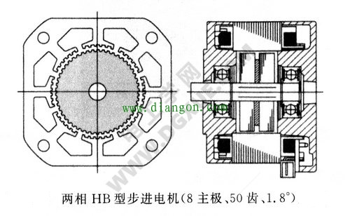 两相HB型混合式步进电机(定子8主极、转子50齿、1.8°)结构图